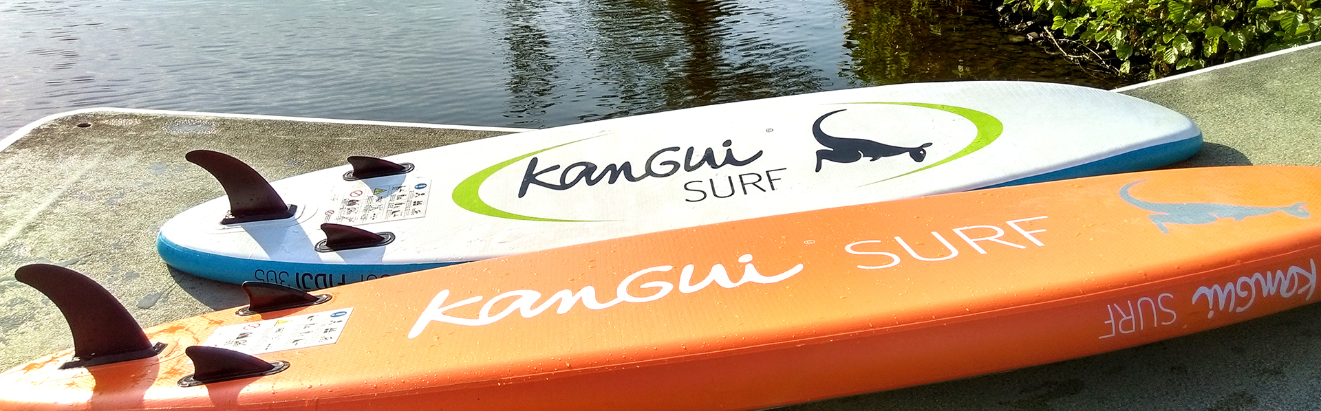 Stand up paddle